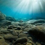 Underwater - rocks on sea bed