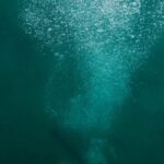Scuba Diving - Scuba Diver on Deep Sea