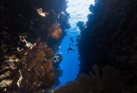 Diving Locations - a person swimming in a deep blue ocean